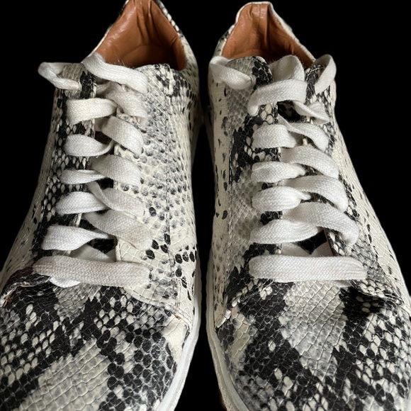 Steve Madden natural snake skin sneaker size 8 - Picture 6 of 7